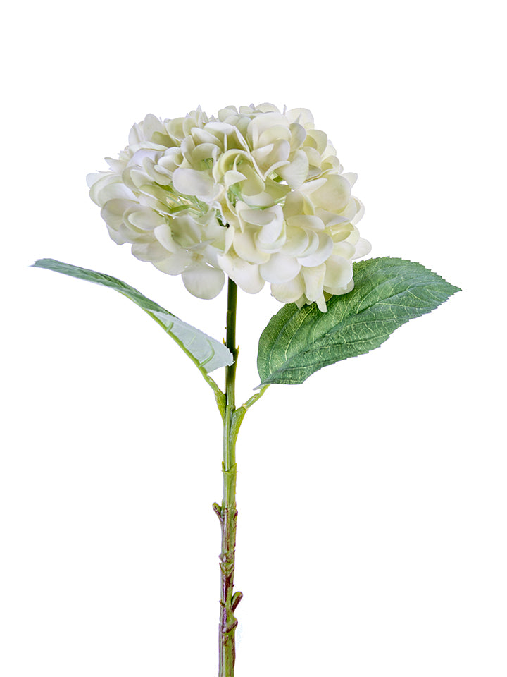 2255132LG | 19" | REAL TOUCH HYDRANGEA SPRAY | LT. GREEN