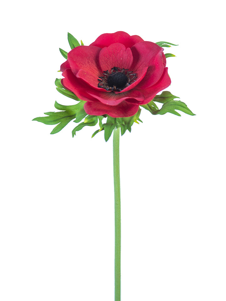 2270029RD  22" POPPY ANEMONE- RED