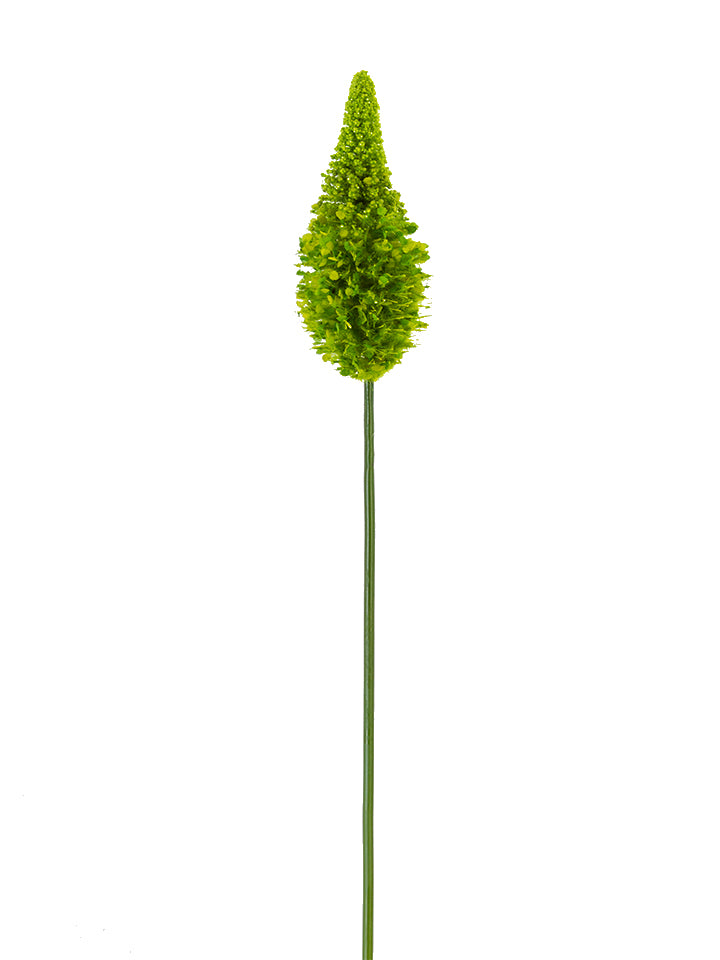 2290081LG | 33" | EREMURUS | LT. GREEN