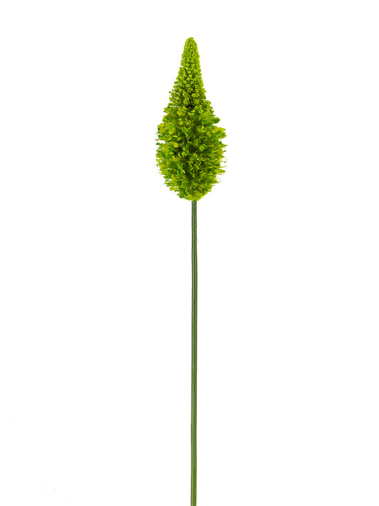 2290081LG | 33" | EREMURUS | LT. GREEN