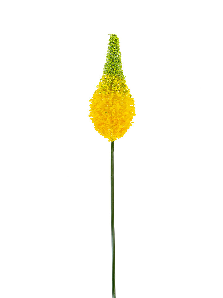 2290081YL | 33" | EREMURUS SPRAY | YELLOW