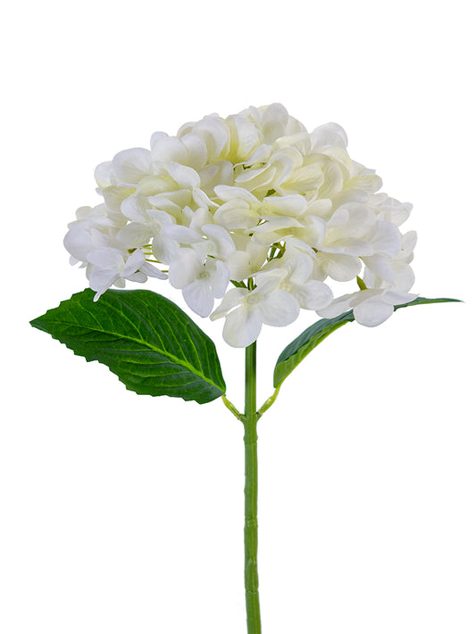 2255139WC | 19" | MOPHEAD HYDRANGEA SPRAY | WHITE/CREAM