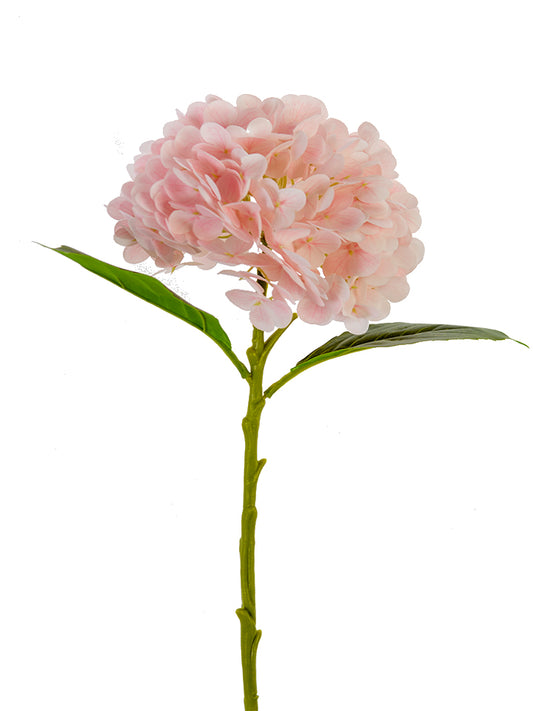 2255144BH | 19" | REAL TOUCH HYDRANGEA | BLUSH