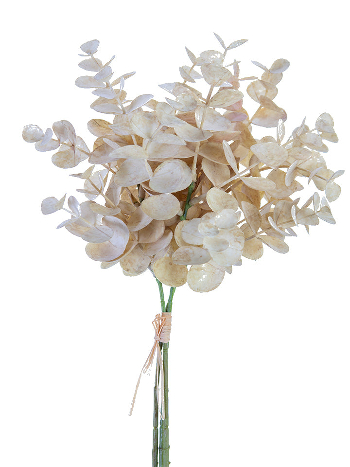 2751150BE 15" Eucalyptus Bundle - A&B Wholesale Market Inc