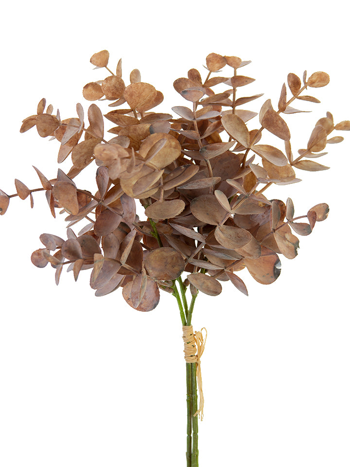 2751150BR 15" Eucalyptus Bundle - A&B Wholesale Market Inc
