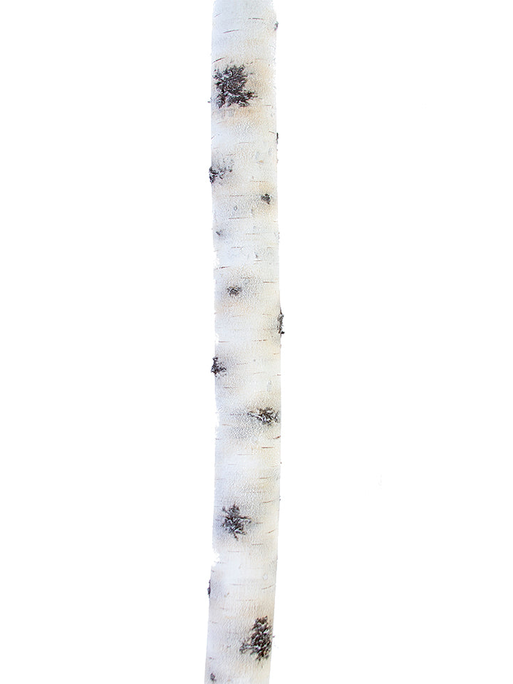 2140102WH 47"L 3"D Birch Branch - A&B Wholesale Market Inc