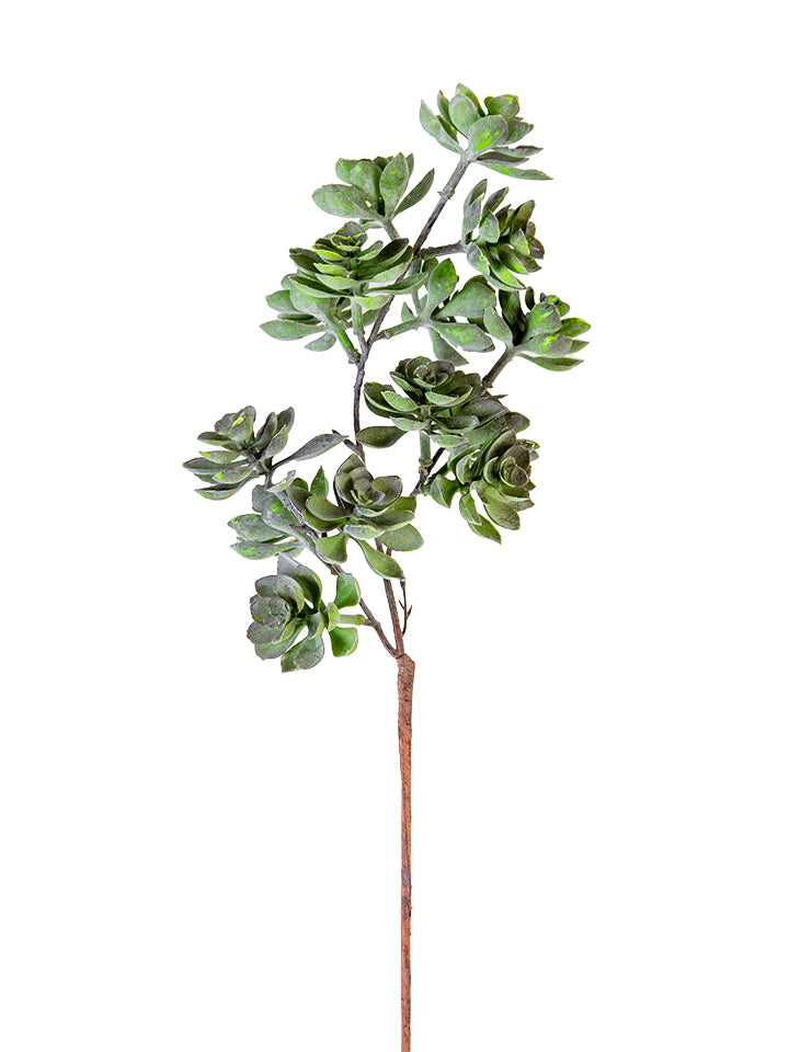 2130242GY | 27'' | SUCCULENT STEM | GREY/BLUE