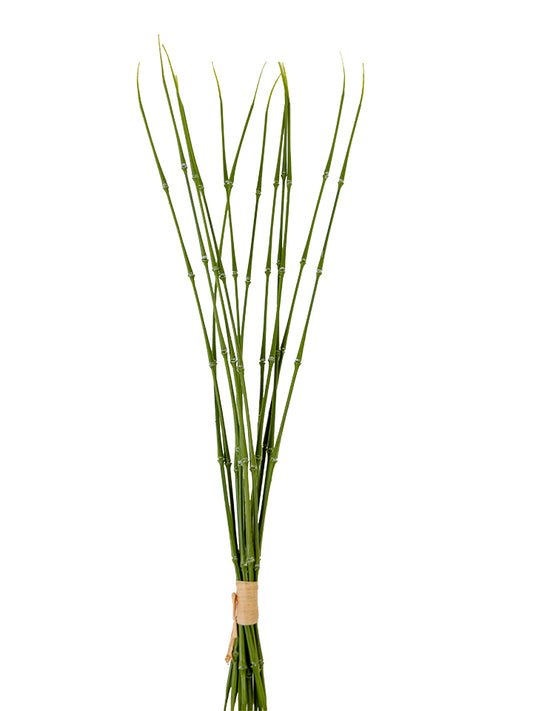 2135009GR | 22" | BAMBOO BUNDLE | GREEN