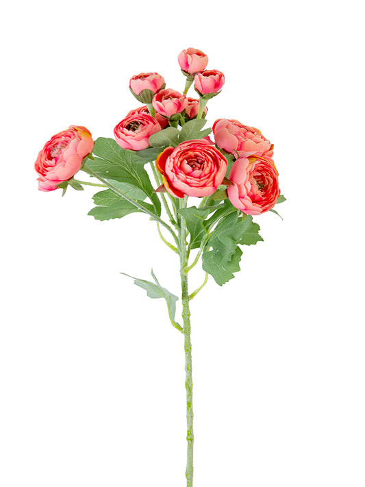 2280021CP | 21" | RANUNCULUS SPRAY | CORAL PINK