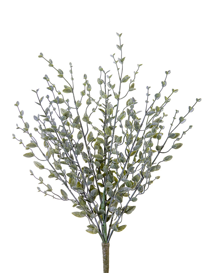 2320167GR | 17" | MYRTLE BUSH | GREEN/GREY