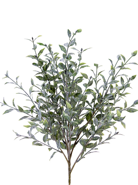 2320168GR | 19" | MYRTLE BUSH | GREEN
