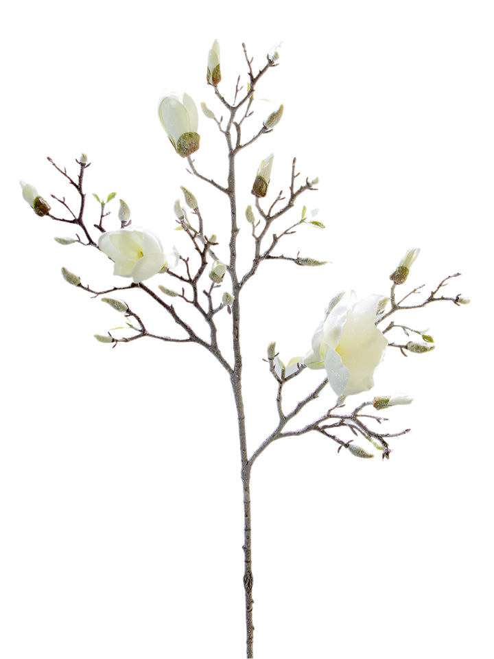 2823029CR | 38" | FROSTED MAGNOLIA BRANCH | CREAM