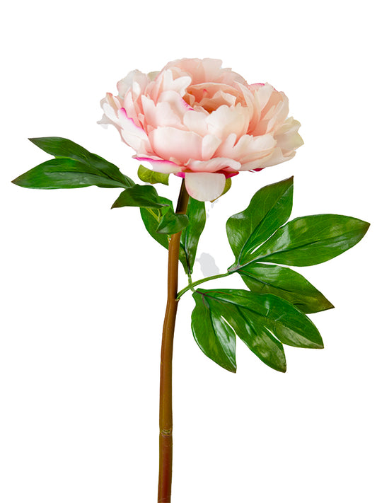 2245051LP | 23" | UV PROTECTED PEONY STEM | LT. PINK