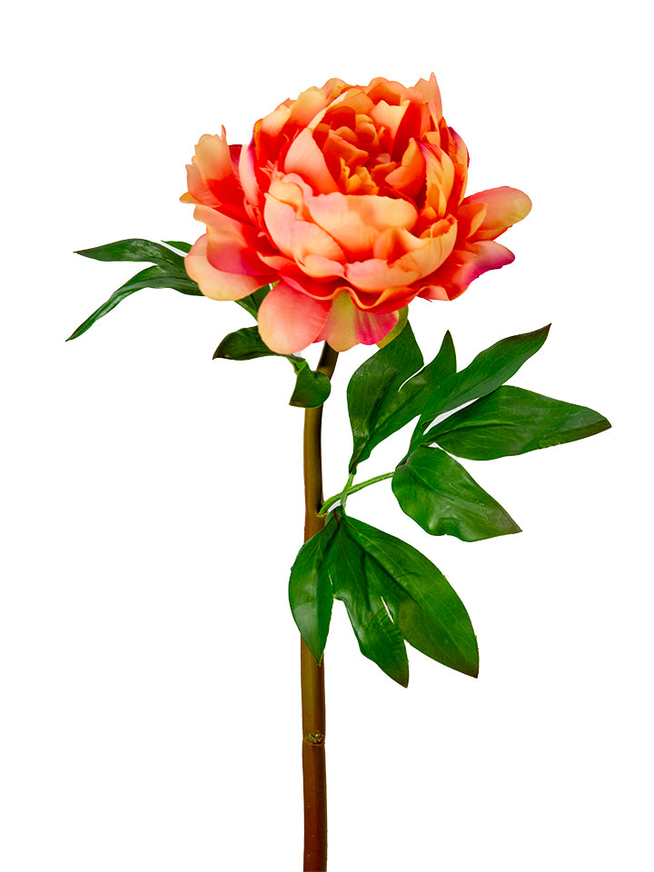 2245051OR | 23" | UV PROTECTED PEONY STEM | ORANGE