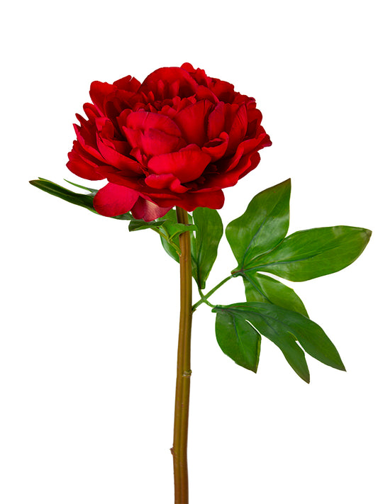 2245051RD | 23" | UV PROTECTED PEONY STEM | RED