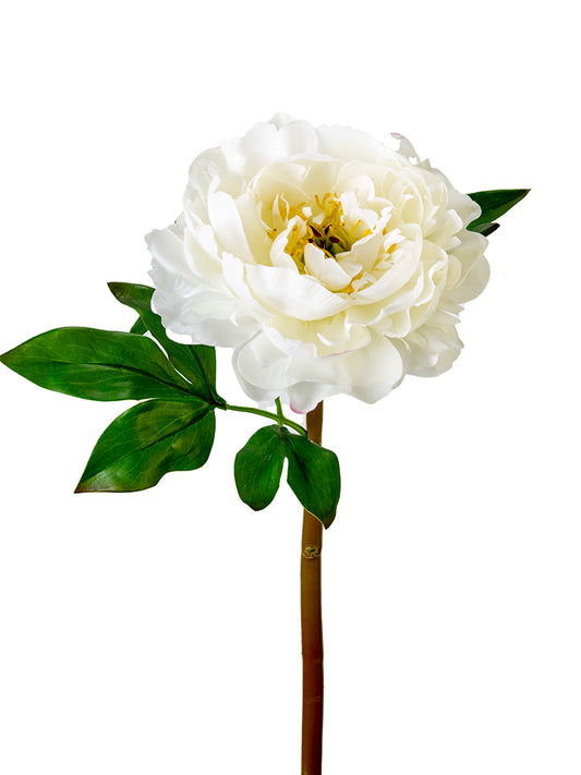 2245051WH | 23" | UV PROTECTED PEONY STEM | WHITE