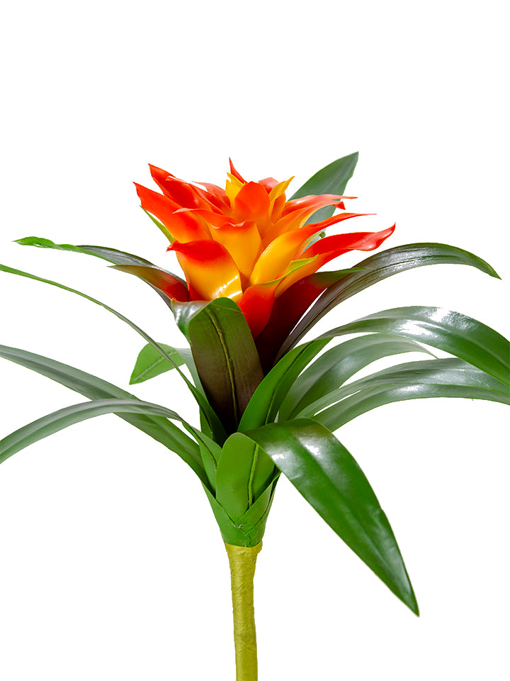 2258047OR | 22" | UV PROTECTED BROMELIAD | ORANGE