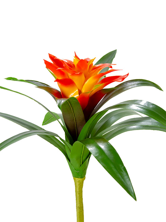 2258047OR | 22" | UV PROTECTED BROMELIAD | ORANGE