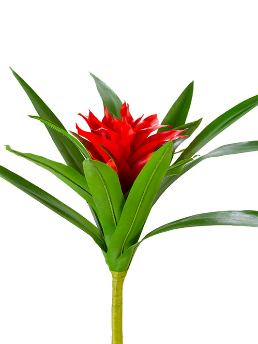 2258047RD | 22" | UV PROTECTED BROMELIAD | RED