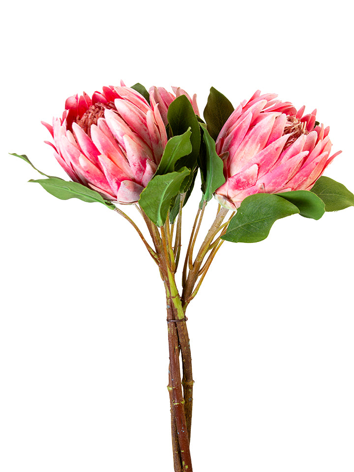 2275009PK | 24" | PROTEA BUNDLE | PINK