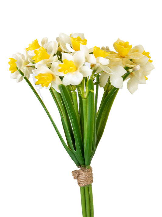 2285255WY | 14" | DAFFODIL BUNDLE | WHITE/YELLOW