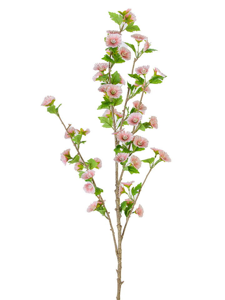 2288030PK  | 43" | MOLUCCELLA SPRAY | PINK - A&B Wholesale Market Inc