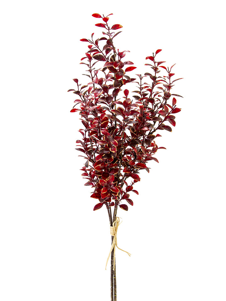 2751164BU | 27" | PRIVET BUNDLE | BURGUNDY