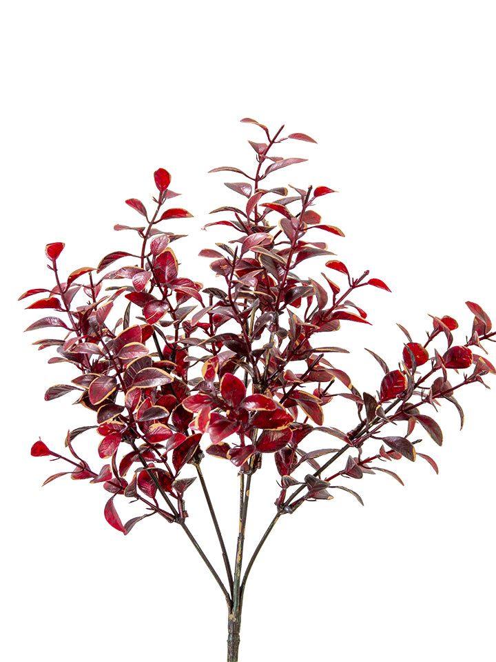 2751165BU | 13" | PRIVET LVS BUSH | BURGUNDY