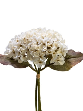 2752061CR | 13" | HYDRANGEA BUNDLE | CREAM