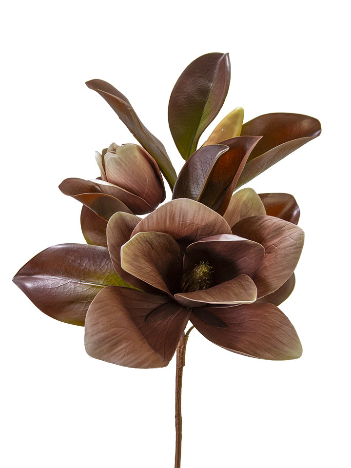 2823041BG | 20" | MAGNOLIA FLOWER SPRAY | BROWN/GREEN