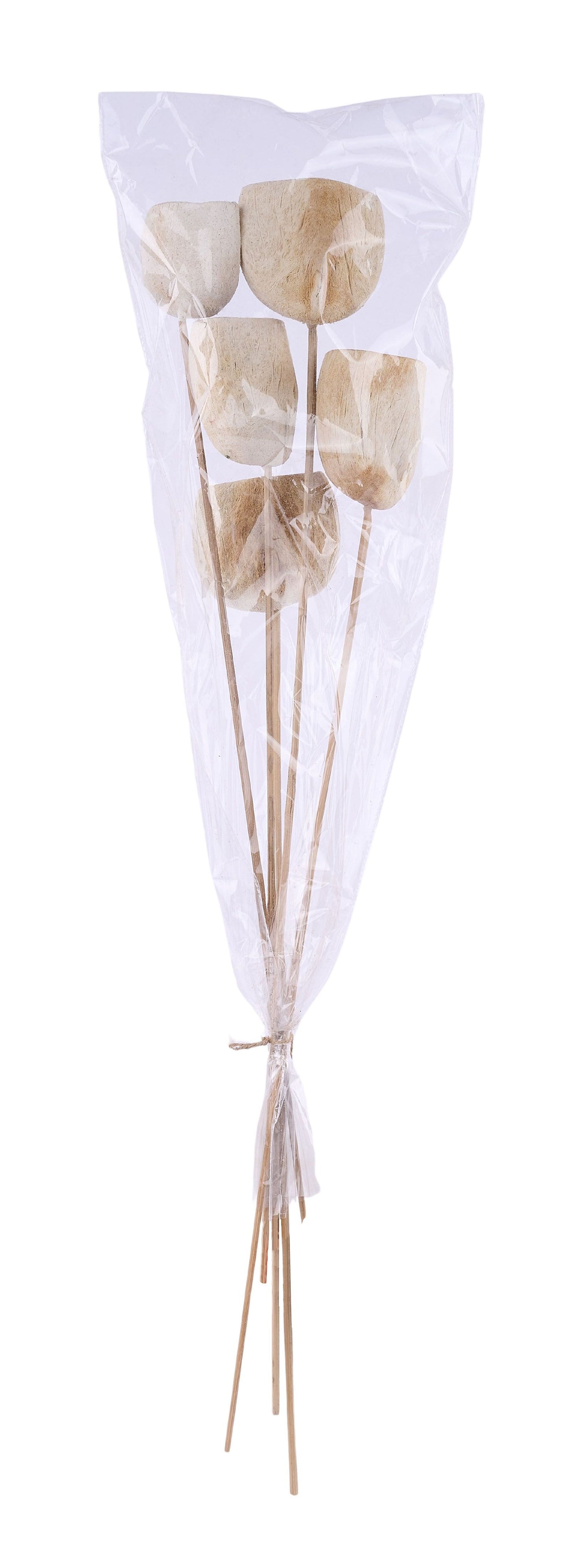TT313331 | 21"L | Tal Cup On Bamboo Stem Bundle x5 | Bleached