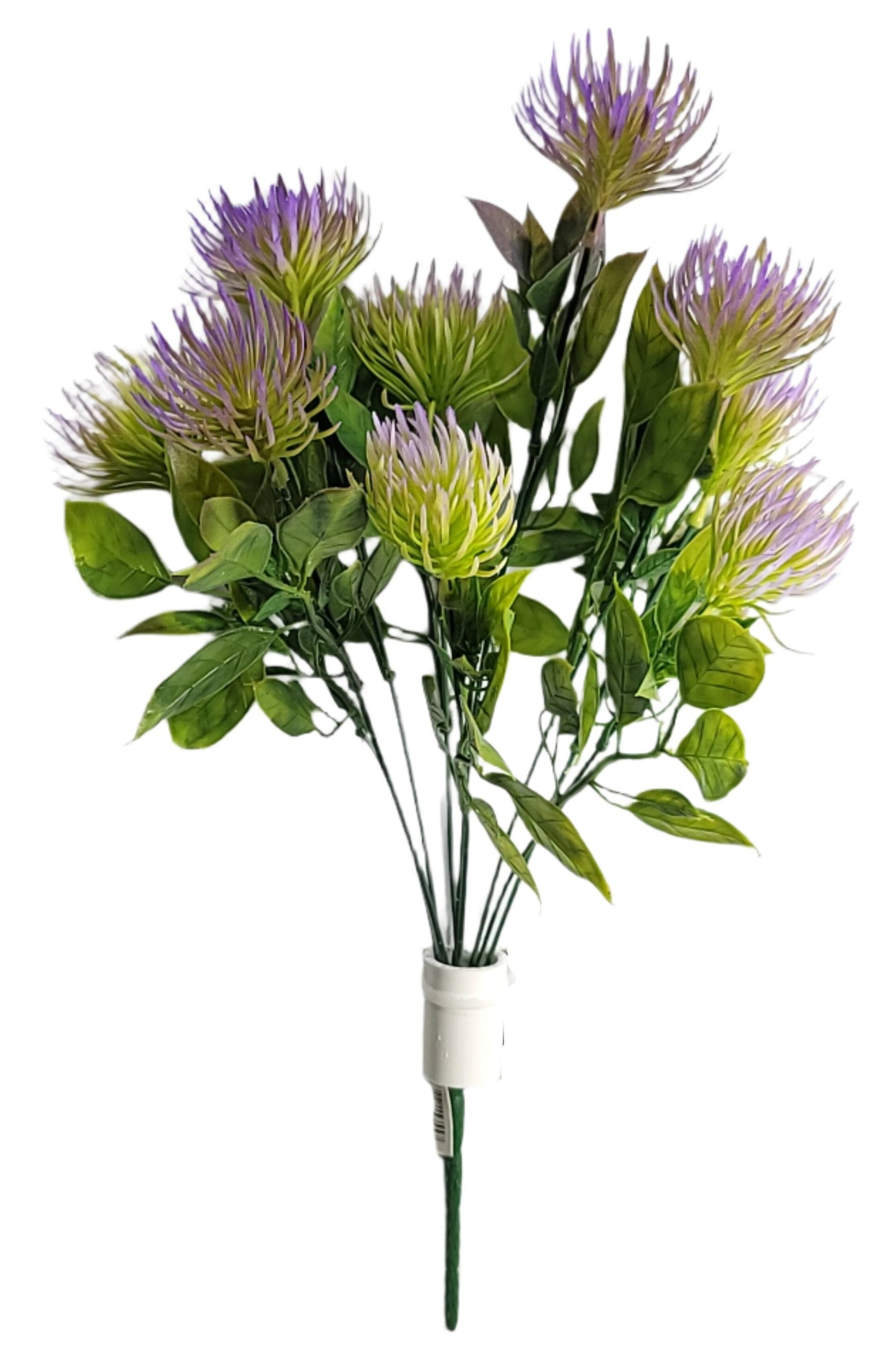 15355 Purple Thistle Bush x9