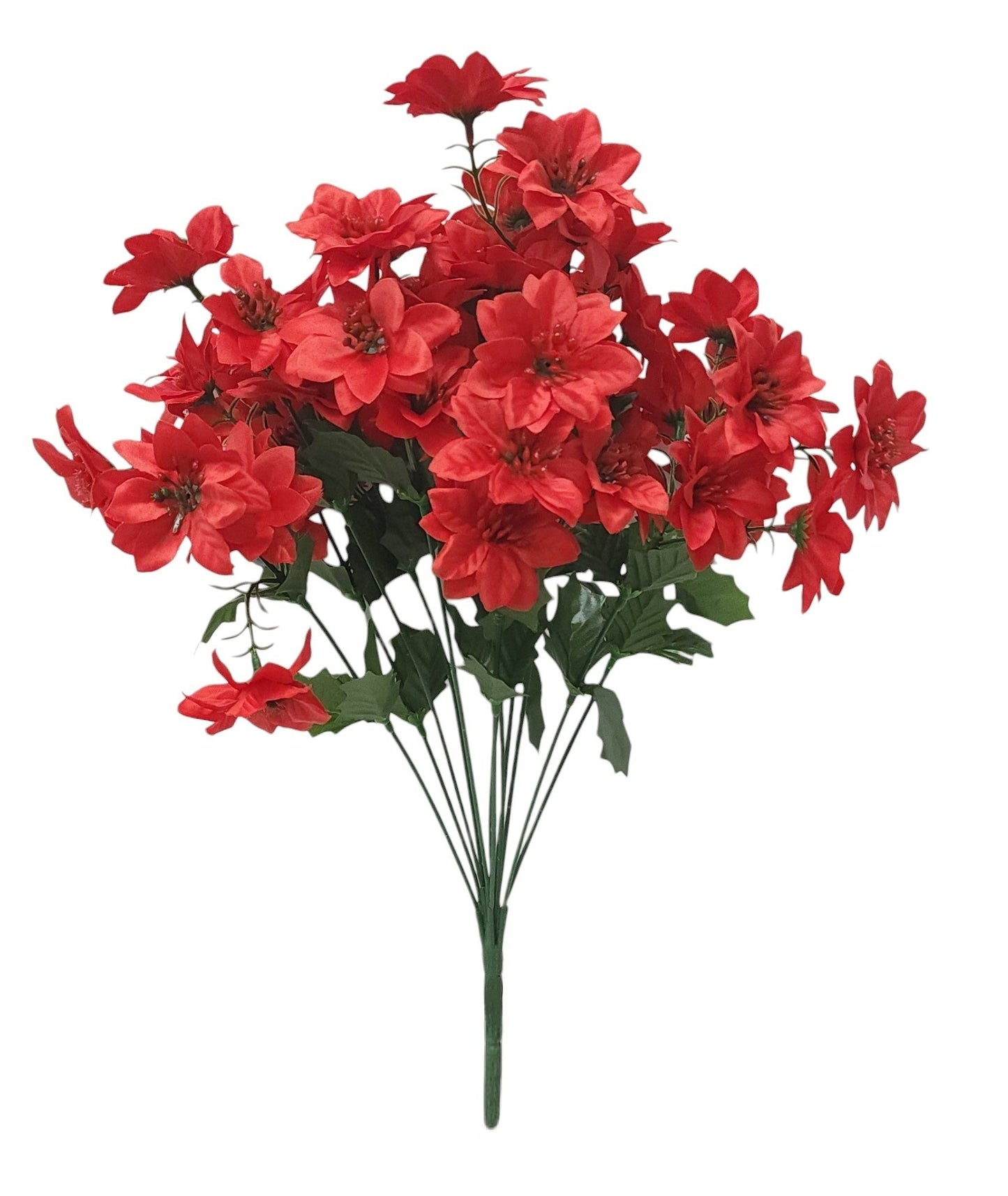 11691 | MINI POINSETTIA BUSH X12 | RED