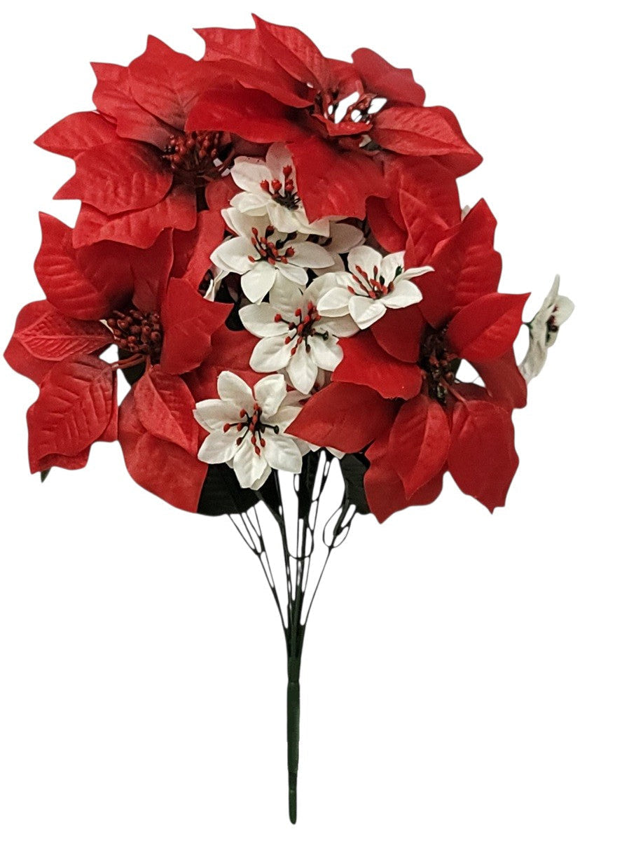 11703 | MINI POINSETTIA BUSH X10 | RED/CREAM