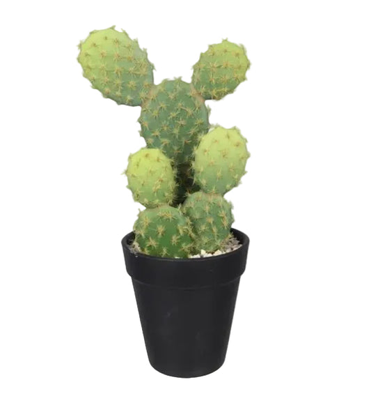 12044 | Artificial Cactus In Plastic Pot