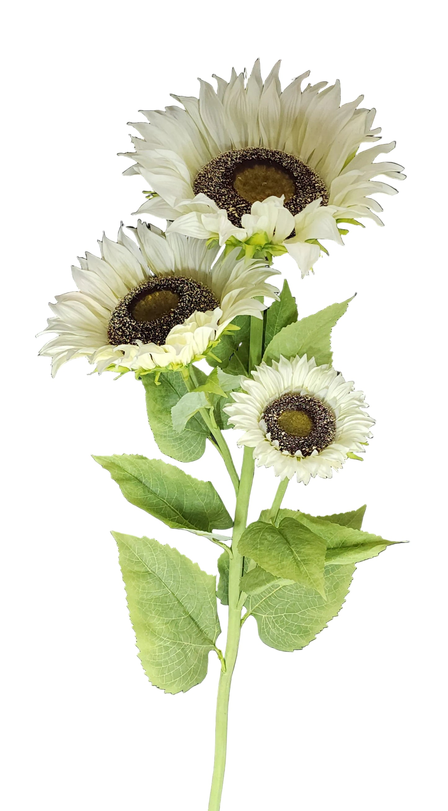 12213 | SUNFLOWER SPRAY X3 | CREAM