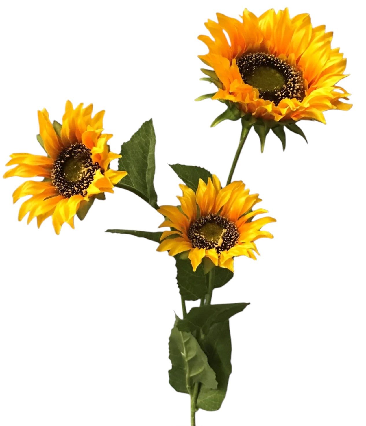 12341 | SUNFLOWER X3 | YEL