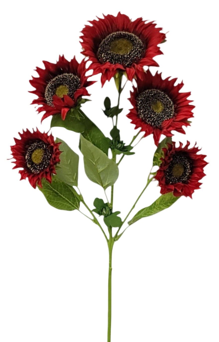 12364 | SUNFLOWER X5 | RED