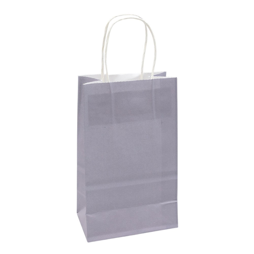 1261-SILVER Paper Tote Treat Bags 10ct