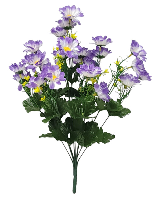 12784 | DAISY BUSH X12 | PURPLE