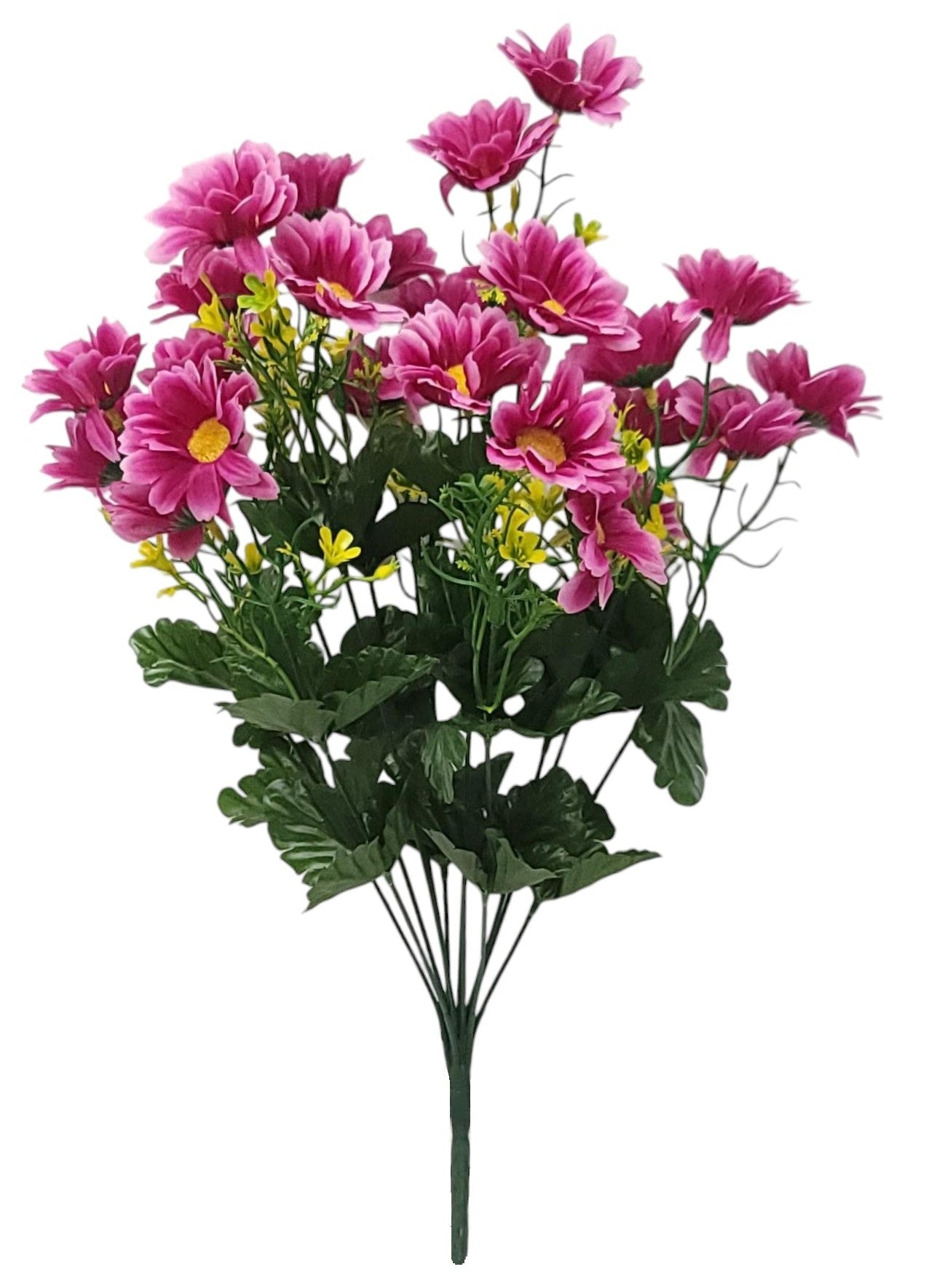 12788 | DAISY BUSH X12 | BEAUTY