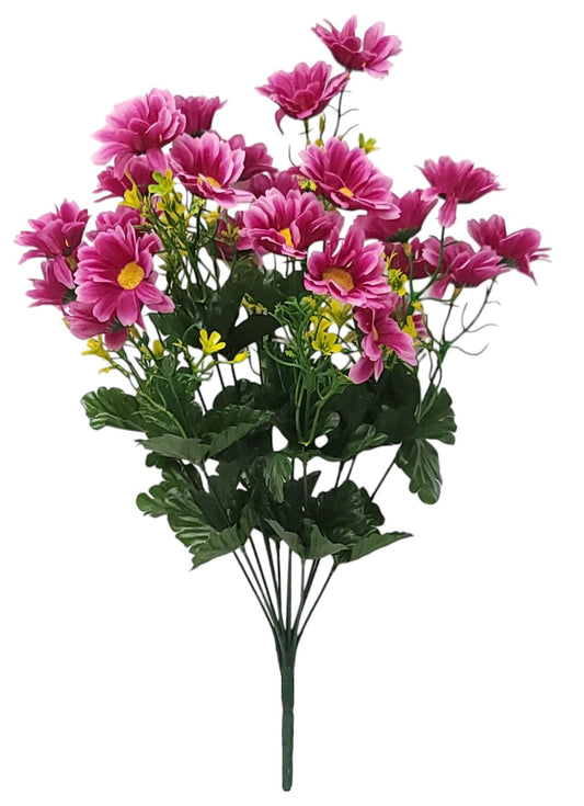 12788 | DAISY BUSH X12 | BEAUTY