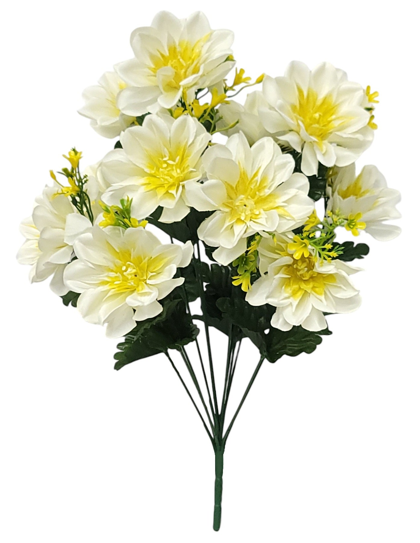 12891 | POPPY BUSH X12 | CREAM