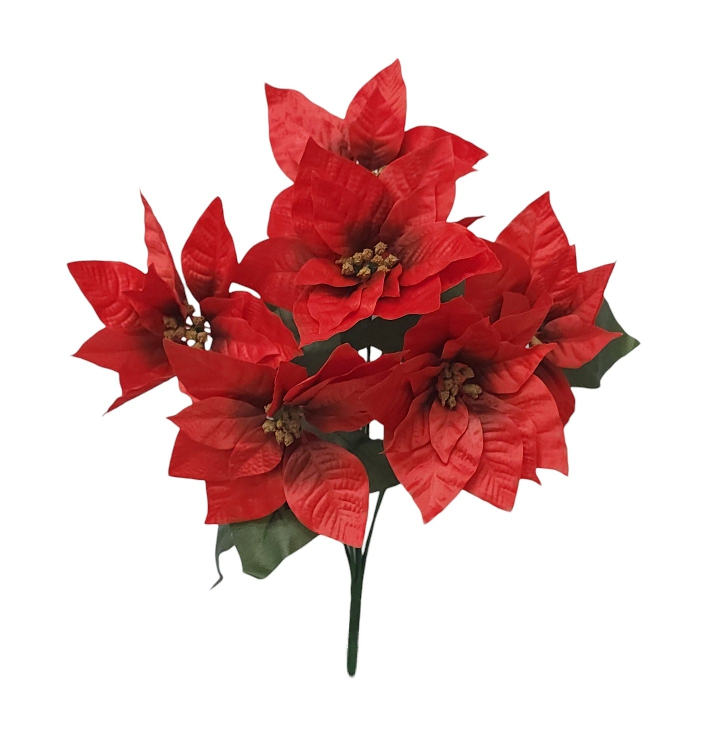 13131 | POINSETTIA BUSH X7 | RED