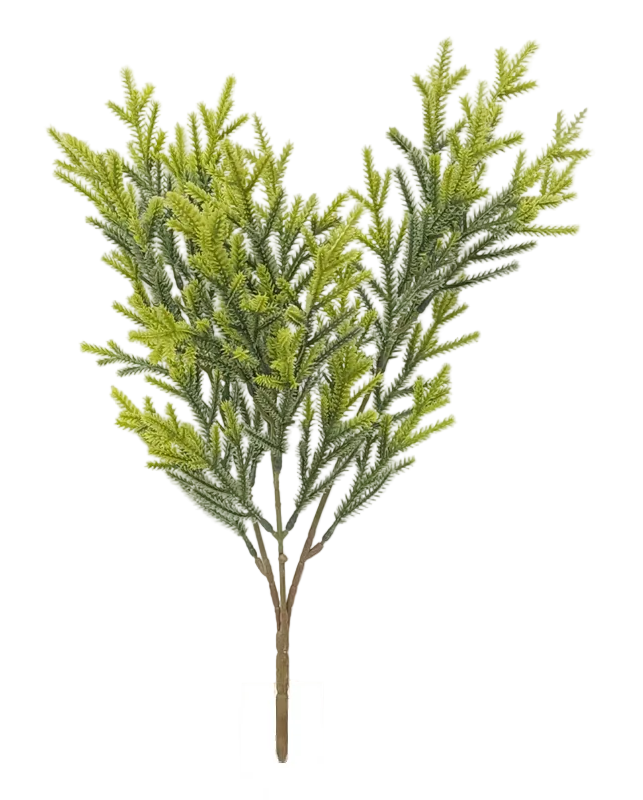 15372 | CEDAR BUSH | FS. GREEN