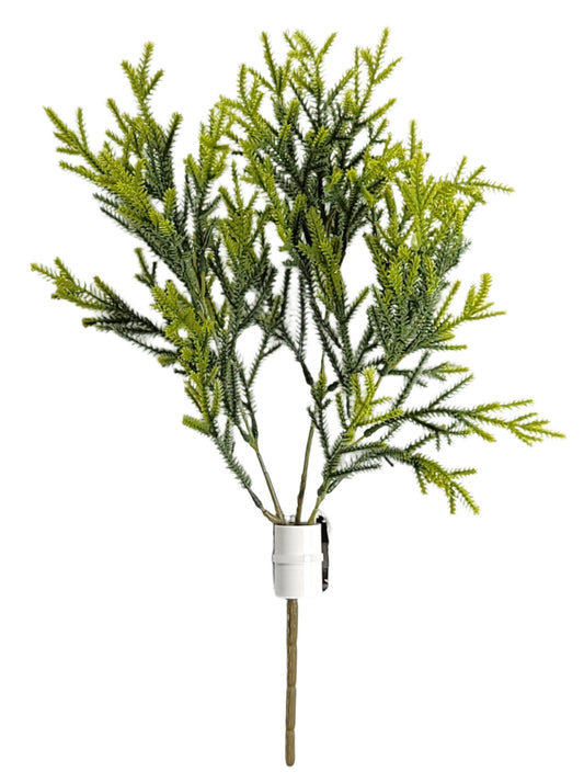 15372 Cedar Bush X3 FS.GREEN