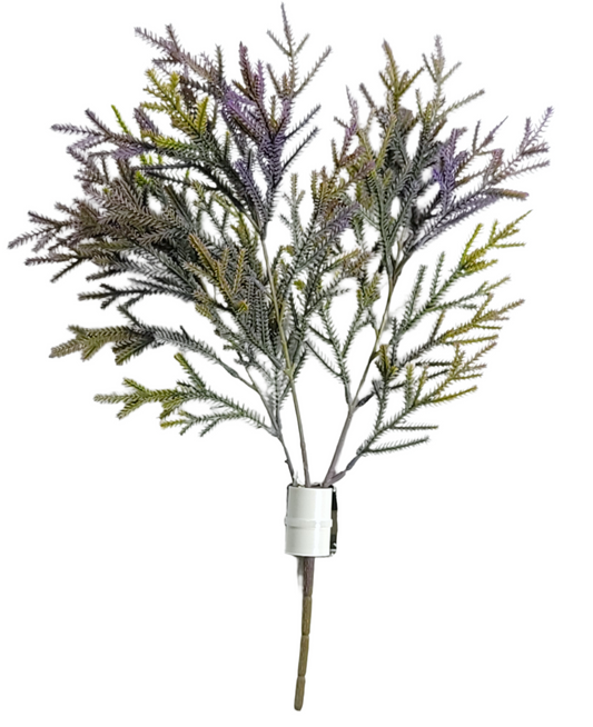 15374 Cedar Bush X3 PURPLE