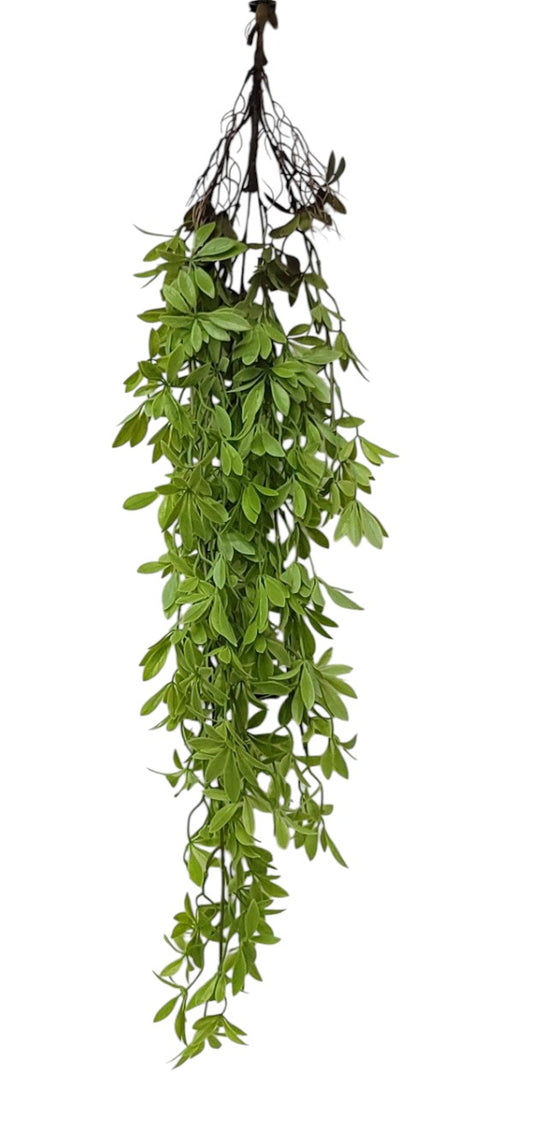 15722 | MINI SCHEFFELR BUSH | LT. GREEN