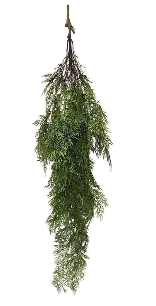 15751 | SPRINGERI HANGING BUSH | GREEN