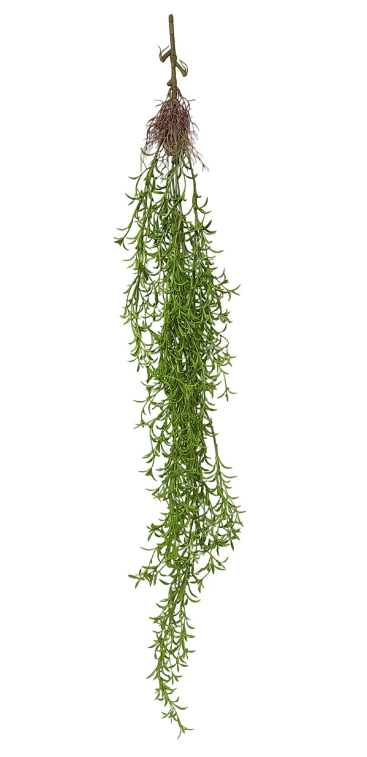 15801 | LG ASPARAGUS BUSH | GREEN
